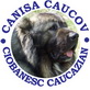 caucov